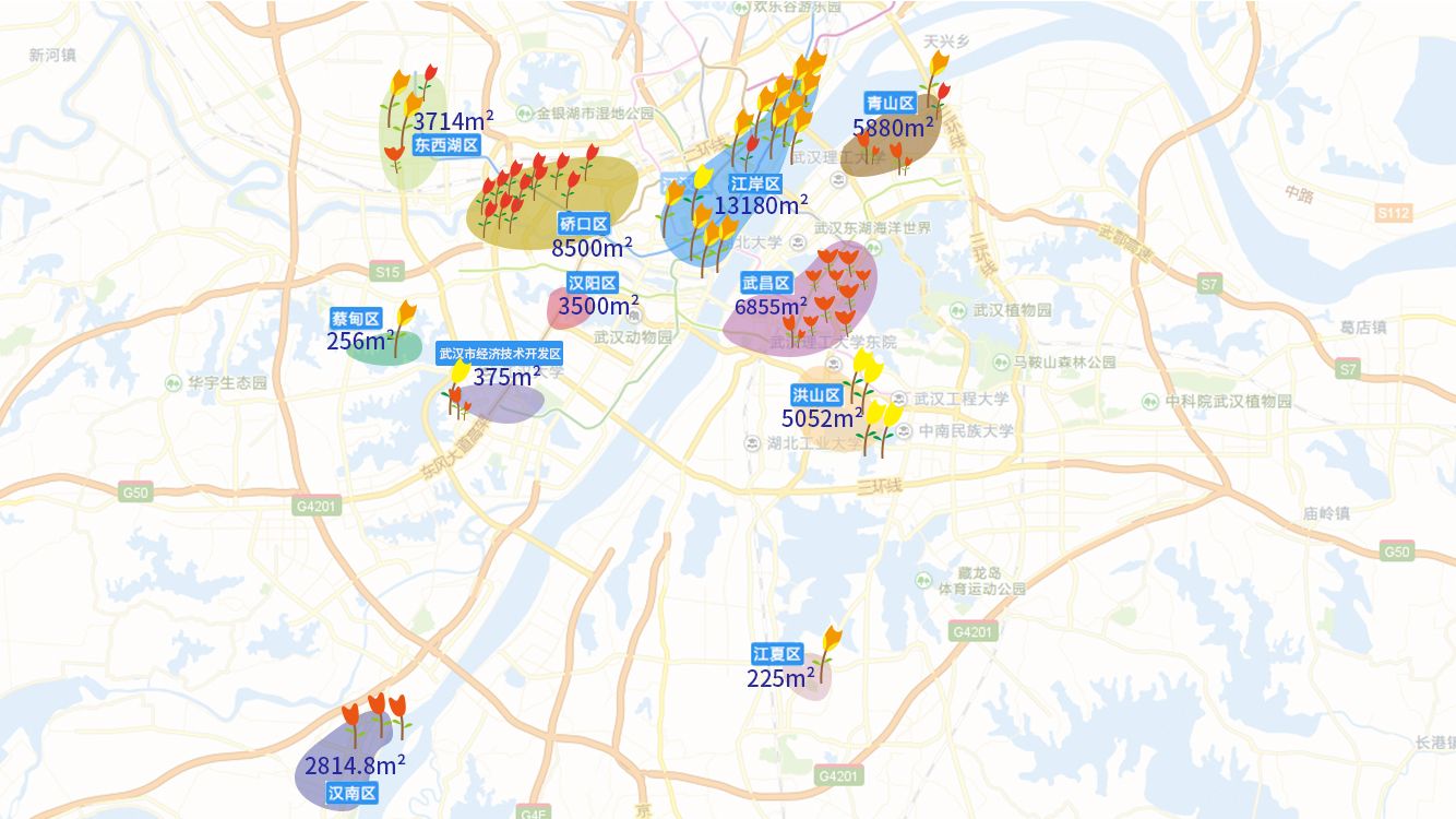 百万株月季绕城 最全的武汉街头赏花地图