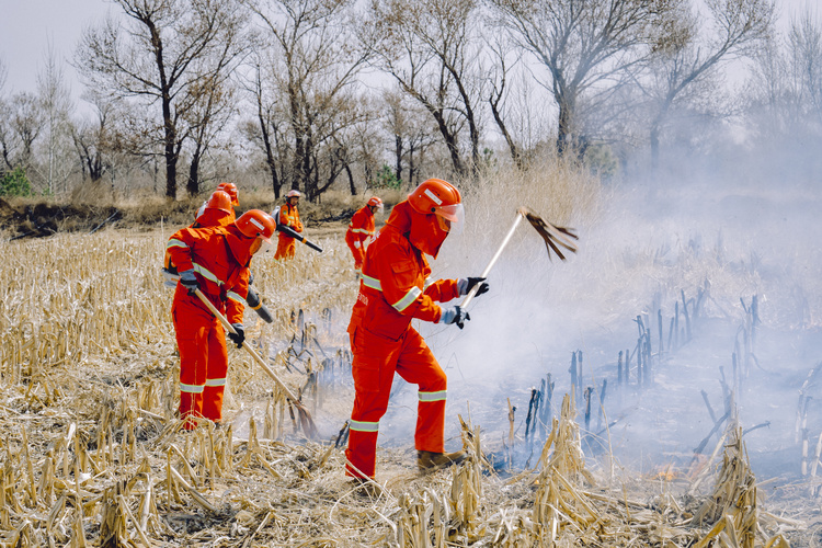 内蒙古鄂尔多斯市：筑牢森林草原防火“安全墙” 全力守护绿水青山“生命线”