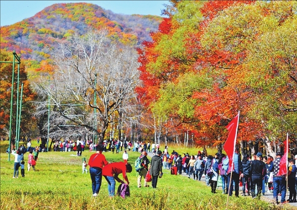 龙江森工集团生态优先守住绿水青山