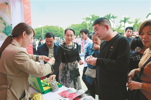 强化党建引领 突出边关特色 崇左加快打造南疆国门乡村振兴品牌