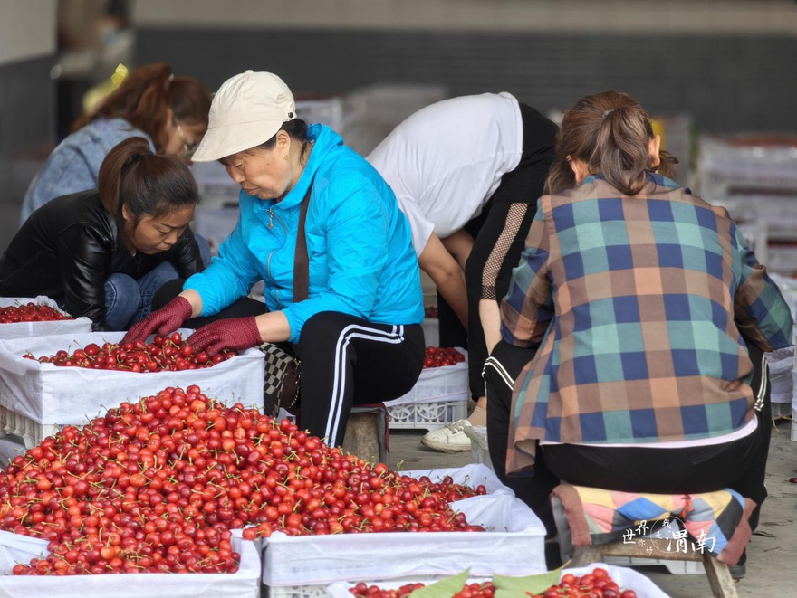 A Sweet Date with China: Deliciously Rich and Incredibly Sweet! A Sweet Delight from Chengcheng, Shaanxi!_fororder_图片2