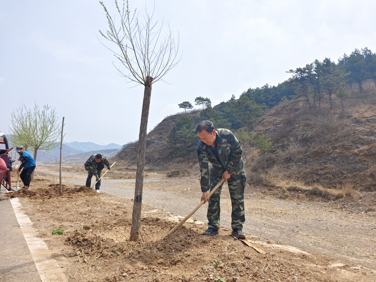 河北平泉：春暖义务植树 建设美丽乡村_fororder_图片 2