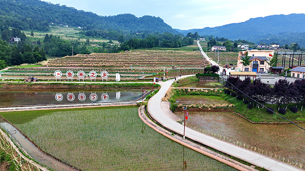 达州宣汉：绘就田园新景 筑牢巴山粮仓_fororder_胡家鸭池-(7)