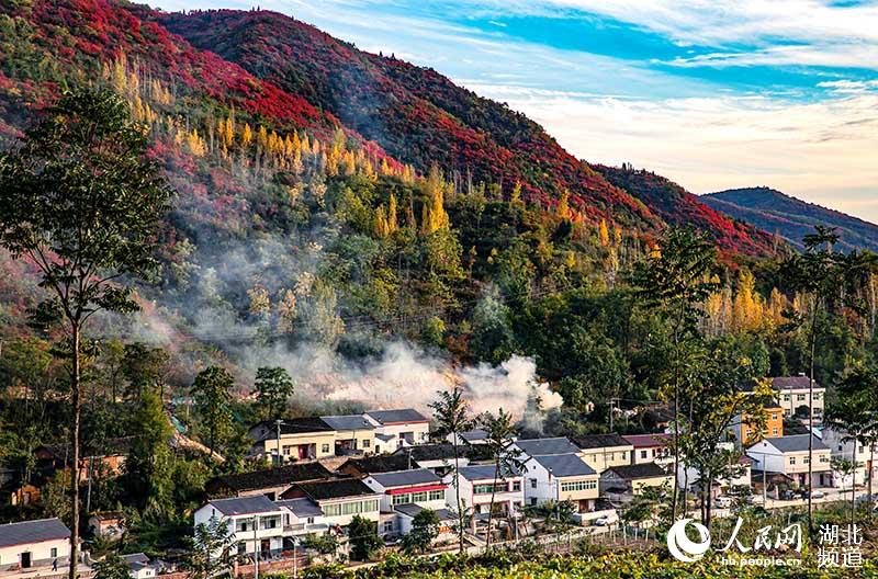 湖北郧阳：漫山红叶扮美乡村