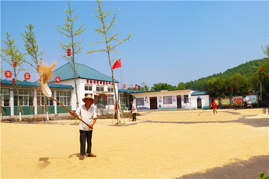 南阳市西峡县：开放公共广场 服务“三夏”生产_fororder_村民在阳城镇茧场村党群服务中心广场晾晒小麦 摄影 邹吉硕