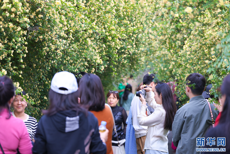 南京江宁黄龙岘：漫步春光里 乡村田园景致美_fororder_20240425137ca7d123c2426d8133c44386106090_202404251ed556a6fd3849ce888e46cb5be07a13