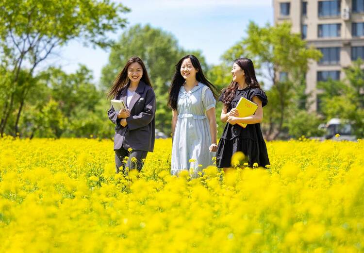 美翻了！学府里的花海