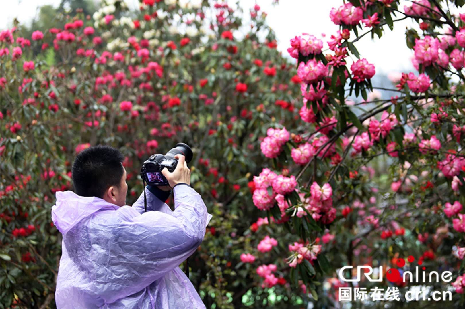 百位“网红”“大∨”聚焦贵州毕节旅游