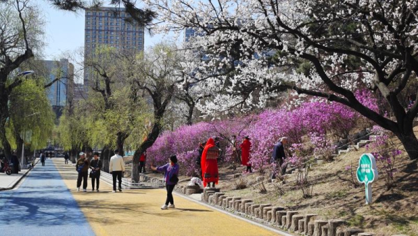 延吉市缘何经常登上热门旅游城市榜？