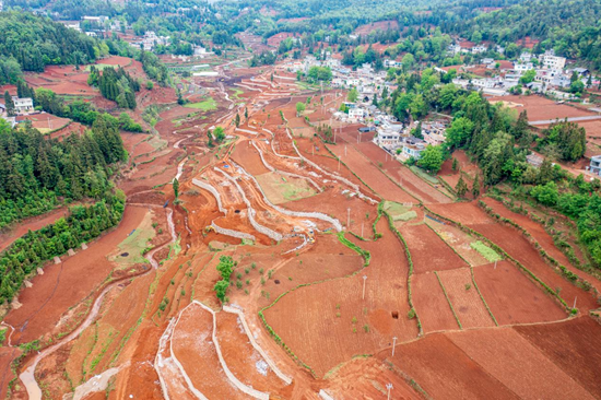 六盘水持续推进高标准农田建设 累计建成104万亩_fororder_图片3