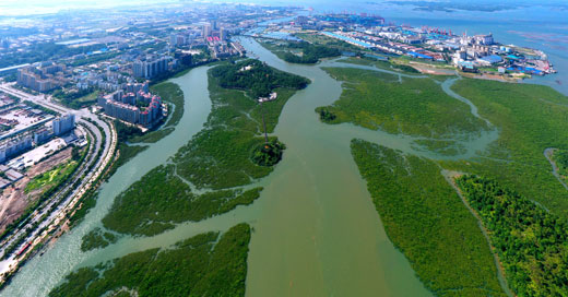 守护北部湾“蓝”