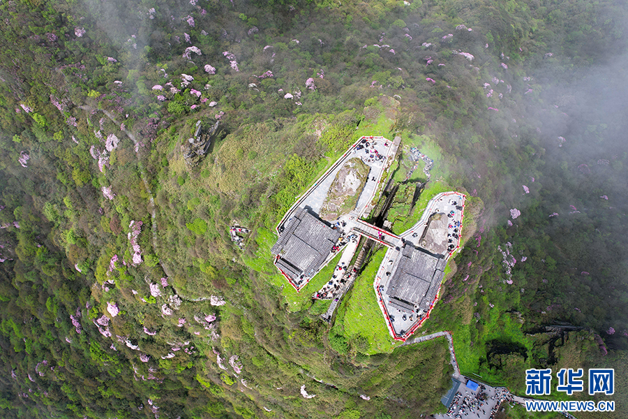 贵州梵净山：繁花似锦醉游人