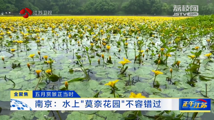 江苏：五月赏景正当时