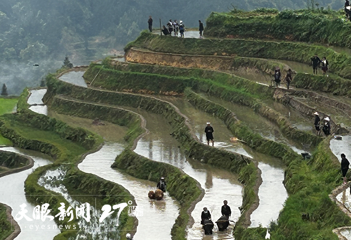 文化中国行｜加榜梯田打通农文旅盘活“试验田”