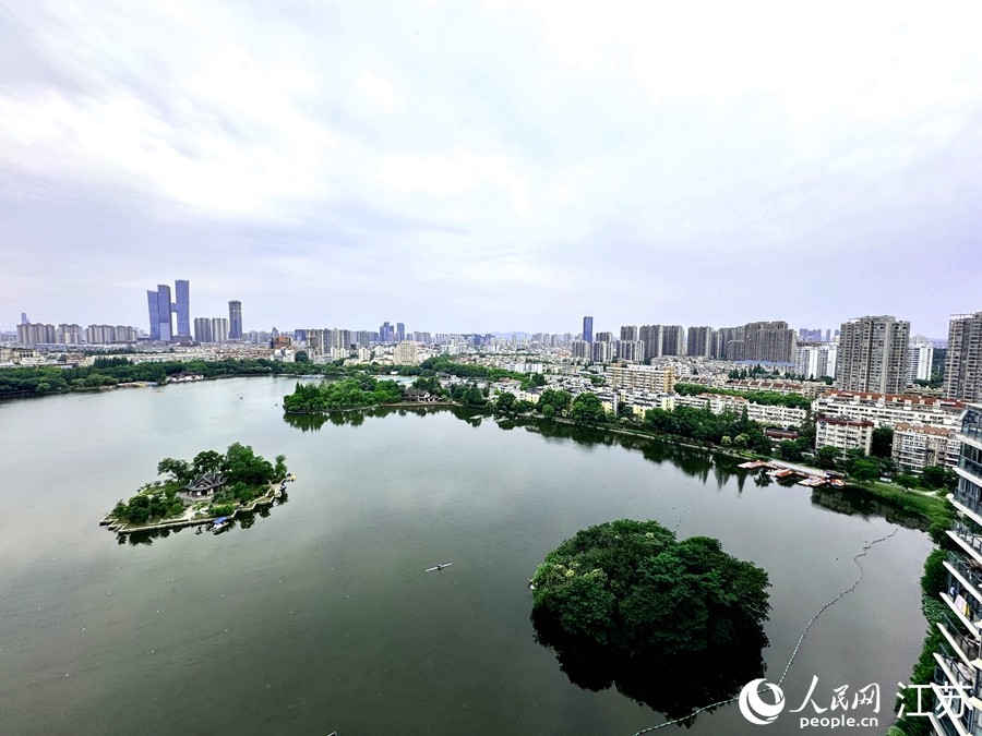 南京：城市“钢铁森林”间有座“生态鸟岛”