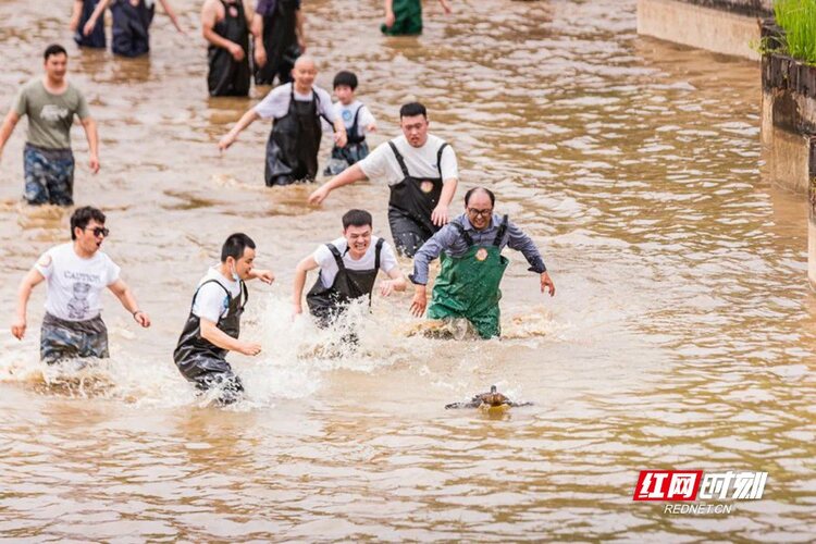 端午假期1368.81万人次游湖南 旅游花费近百亿元_fororder_14