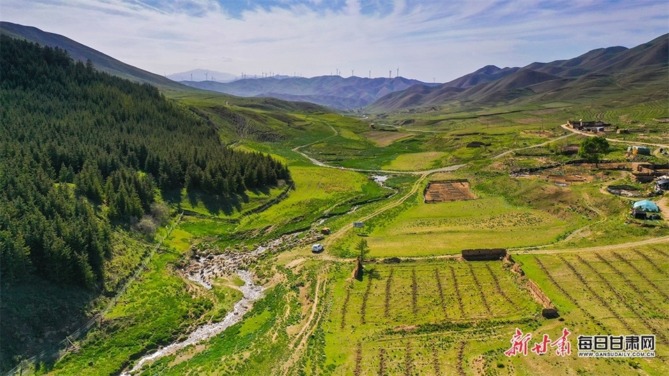 满目青绿微风漾 马兰花开十里香 甘肃白银景泰寺滩草原等你来打卡_fororder_3