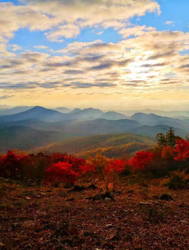 通化四方山森林公园：绿野壮阔 山峦叠嶂