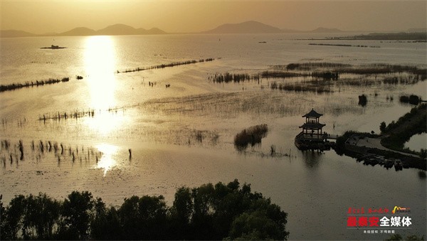 山东泰安：初夏的东平湖 夕阳如诗如画