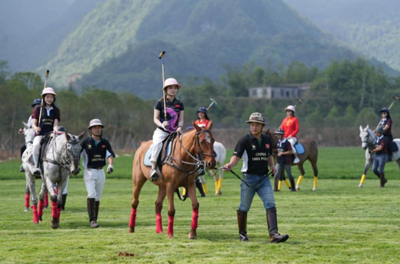 100匹阿根廷马球马入驻重庆仙女山_fororder_微信图片_20240613151224