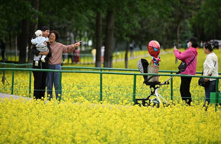 沈阳：油菜花开满地金