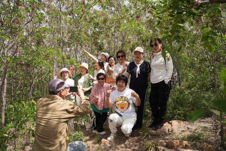 辽阳“首山槐花节”文艺演出火爆开幕