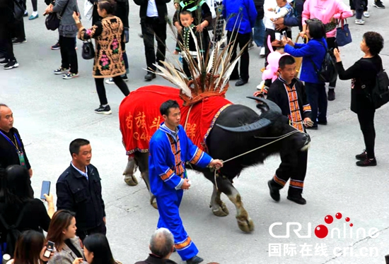 2019年中国·雷山苗年盛大开幕