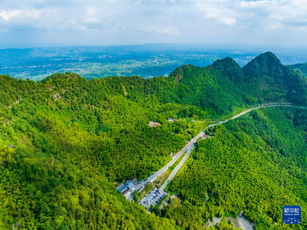 重庆：茶山竹海风光旖旎