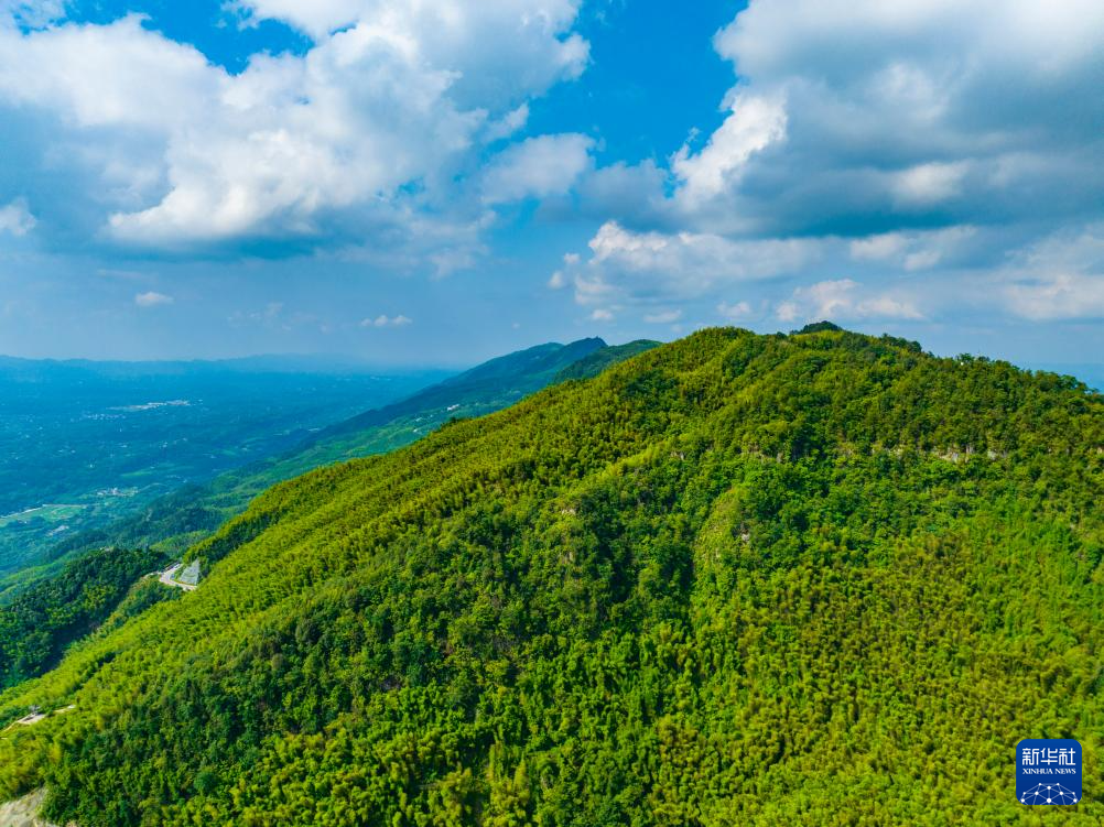 重庆：茶山竹海风光旖旎