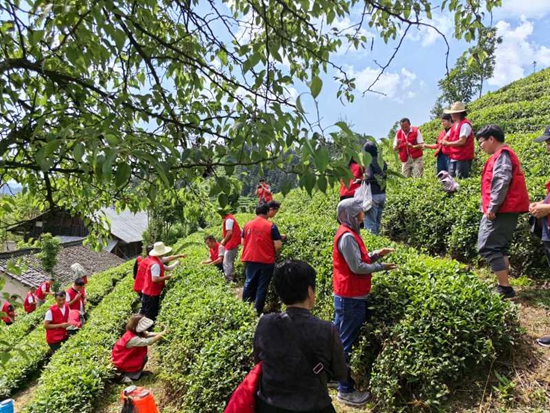 贵州大学专家团队到雷山县开设“田间学校”_fororder_20240524214449-jYitLD-20240524212820-weI2Iq-