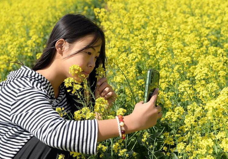 朝阳：花海如画客自来