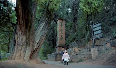 Amazing Sichuan｜Ancient Shu Road, the Cuiyun Corridor_fororder_QQ截图20240510095523