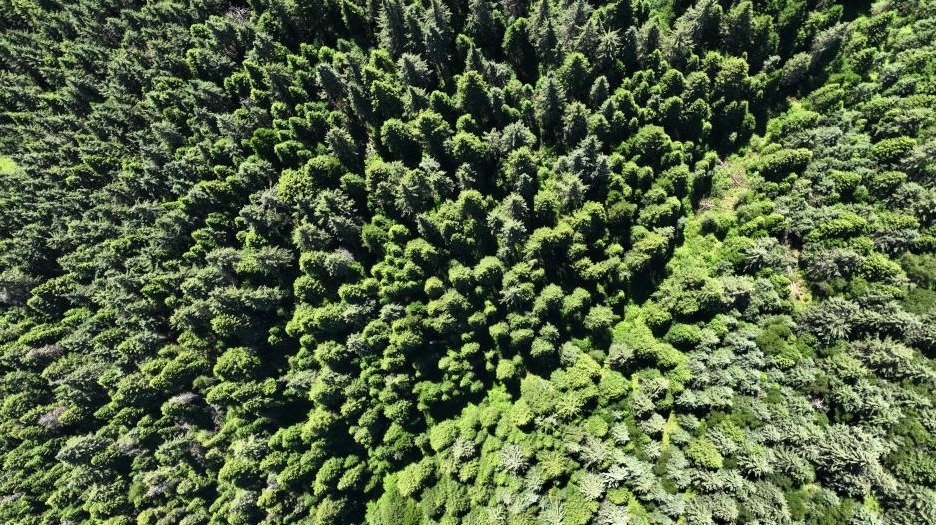 【原创】甘肃甘南山水秘境大峪沟_fororder_2