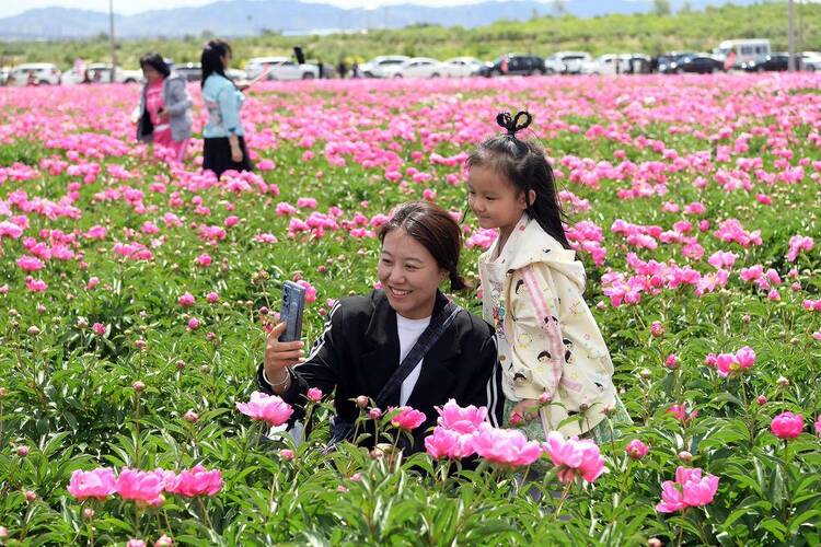 朝阳：花海如画客自来