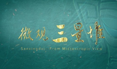 Amazing Sichuan | Sanxingdui—From a Microscopic View (Episode 1)_fororder_QQ截图20240510171927