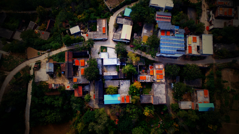 【河南】荥阳市崔庙镇郑岗村：柿子丰收 助农增收（组图）