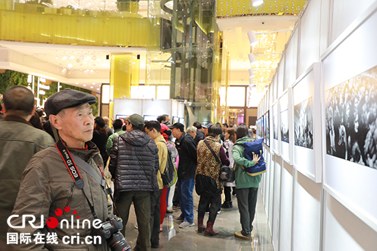 “友好辽宁”摄影比赛暨中匈建交70周年《丝路镜像》艺术展开幕