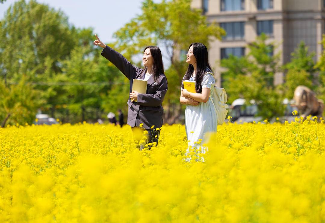 美翻了！学府里的花海