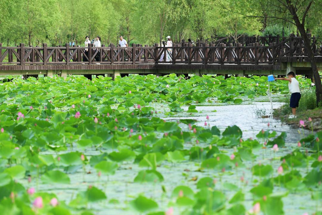 朝阳：畅游大凌河，乐享假日时光