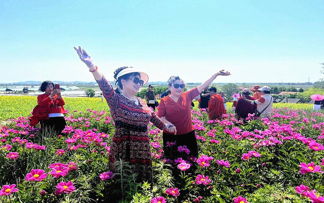 东港市：芍药花开，醉人香！