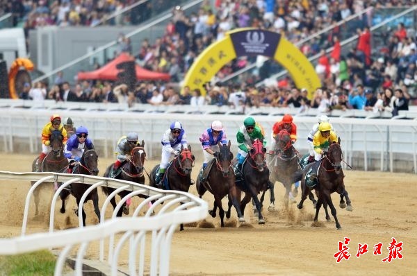 【城市远洋图片】第十七届中国·武汉国际赛马节落幕