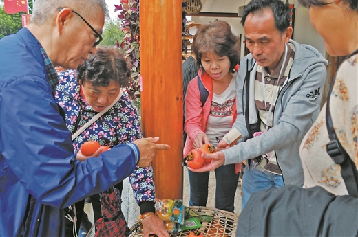 柿子红 风情浓