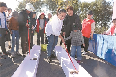 （头条）南通海安“寻梦水乡蟹逅青墩”文旅节举行