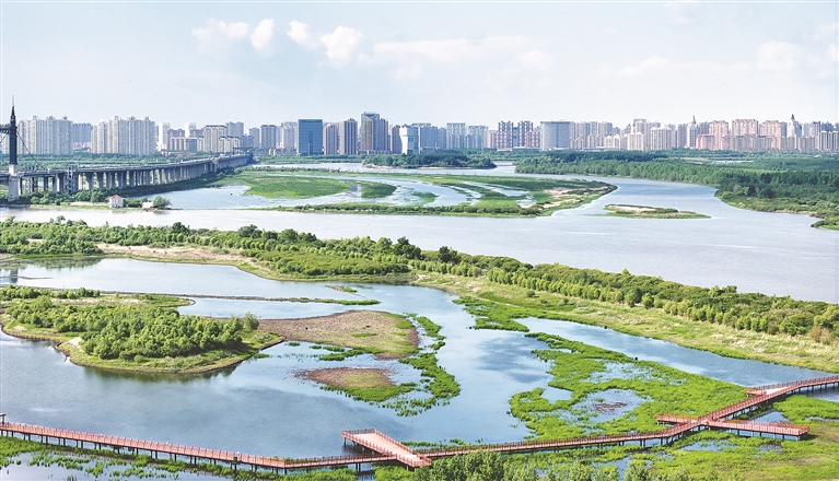 黑龙江：夏日冰城江景如画