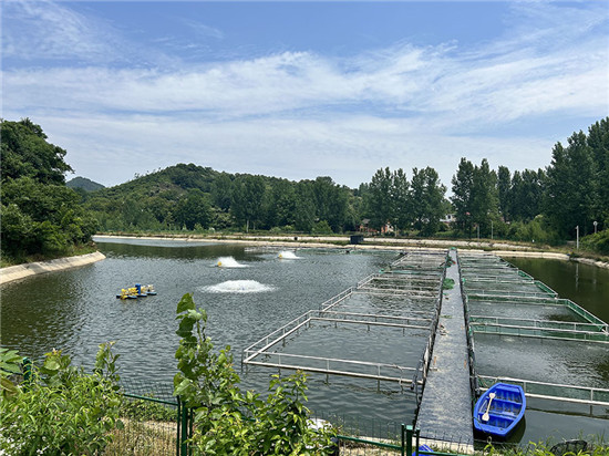 信阳市浉河区：小鱼苗“游”出大产业_fororder_生态养殖环境好 王乾迎 摄