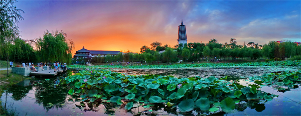 （图）夏日享清凉，欢乐在沈阳！六大板块530余项文体旅活动等你来_fororder_夕映荷花 摄影 袁丁.JPG