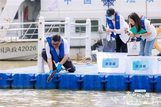 全国放鱼日武汉放流666尾中华鲟_fororder_微信图片_20240607085146 - 副本