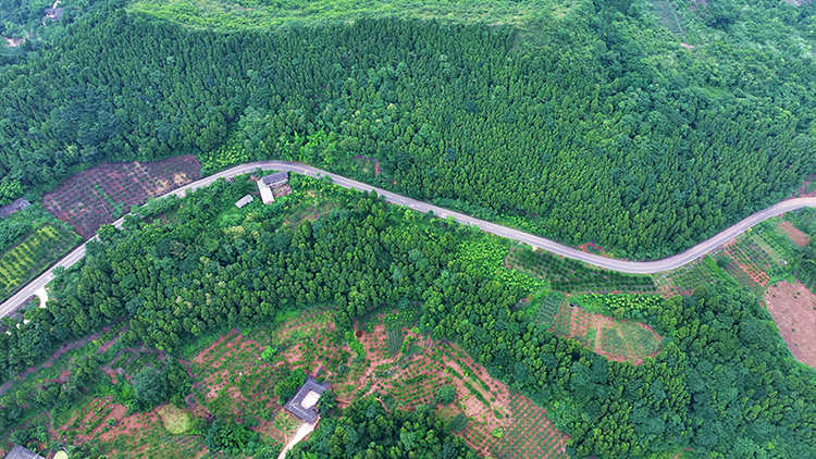 四川仁寿：“四好农村路”织就乡村振兴美丽图景_fororder_航拍眉山市仁寿县虞丞乡丞相村宛如绸带的“四好农村路”02