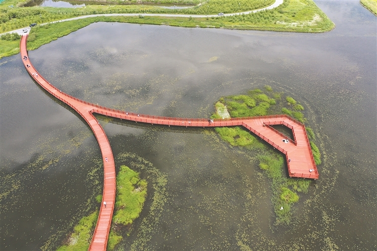 醉龙江|湿地公园欢乐多 “端午”踏青氛围浓