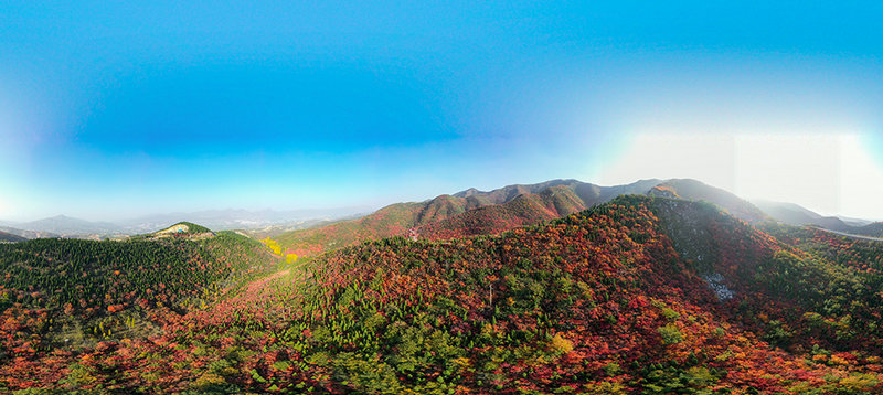 【河南供稿】巩义市韵沟村：层林尽染 漫山红遍（组图）